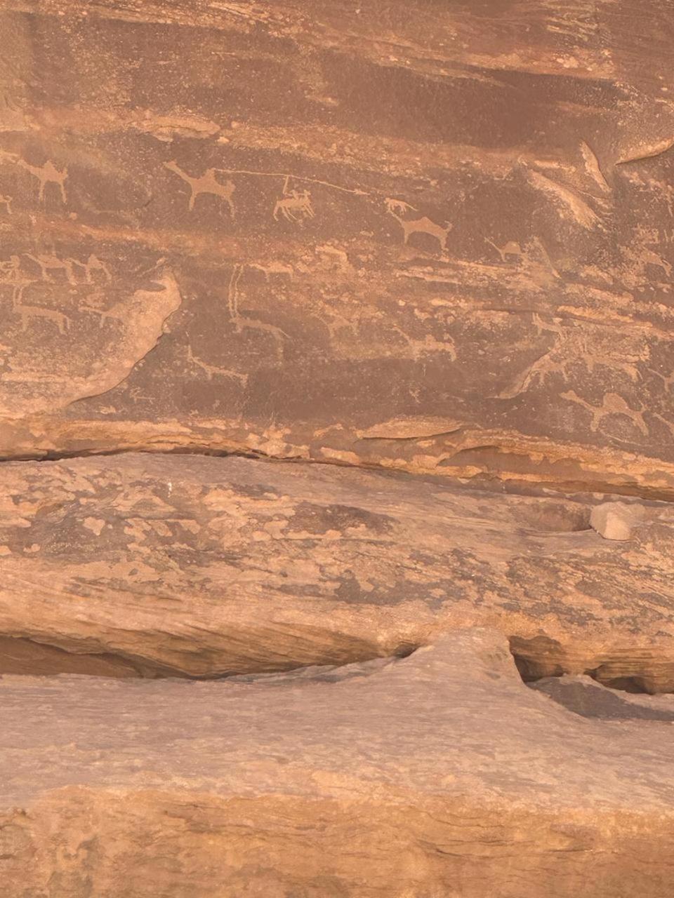 Hotel Star Magic Camp Wadi Rum Zewnętrze zdjęcie